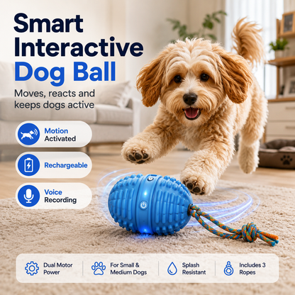 Smart Interactive Dog Ball with Voice Recording