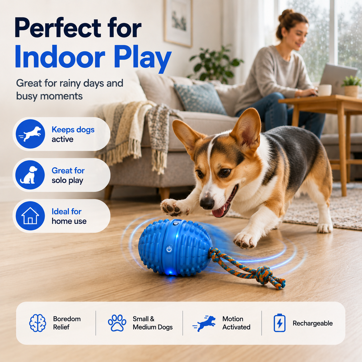 Smart Interactive Dog Ball with Voice Recording