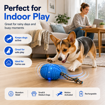 Smart Interactive Dog Ball with Voice Recording