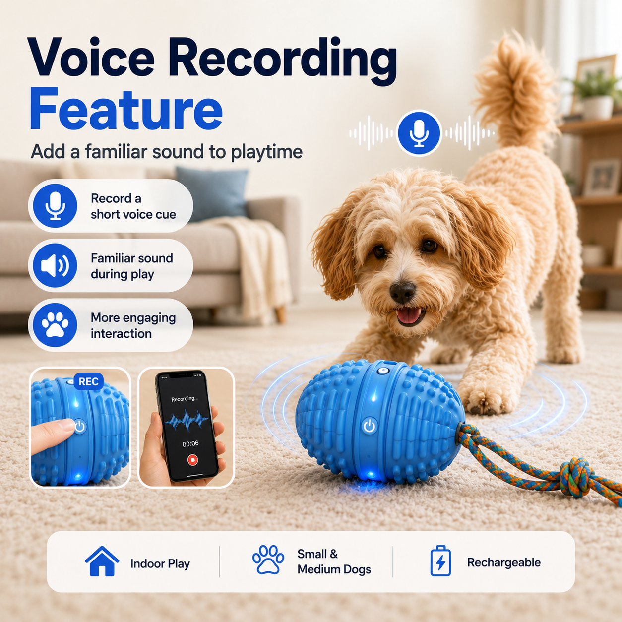 Smart Interactive Dog Ball with Voice Recording